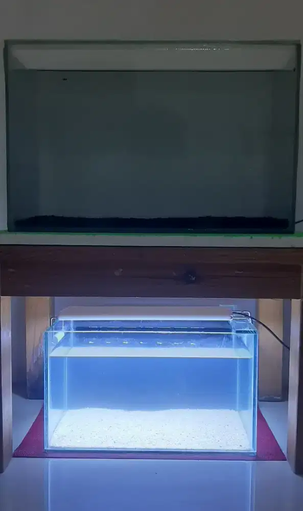 Dua aquarium ukuran kecil