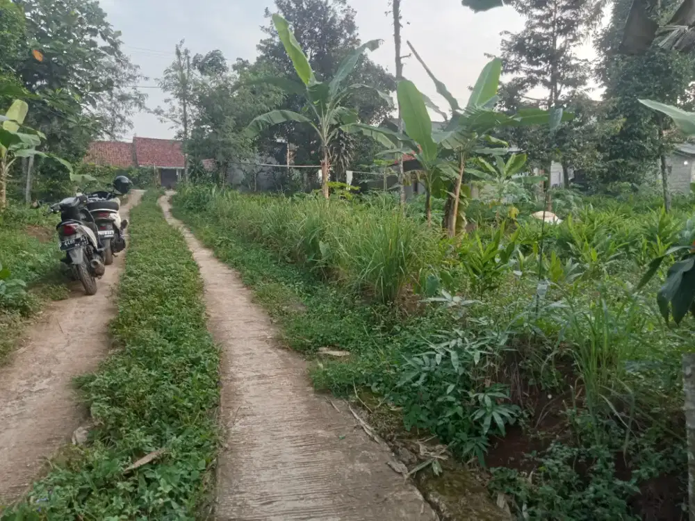 Di jual lhan tanah darat lt 400 mtr pinggir jln cor lebar muka 19 mtr