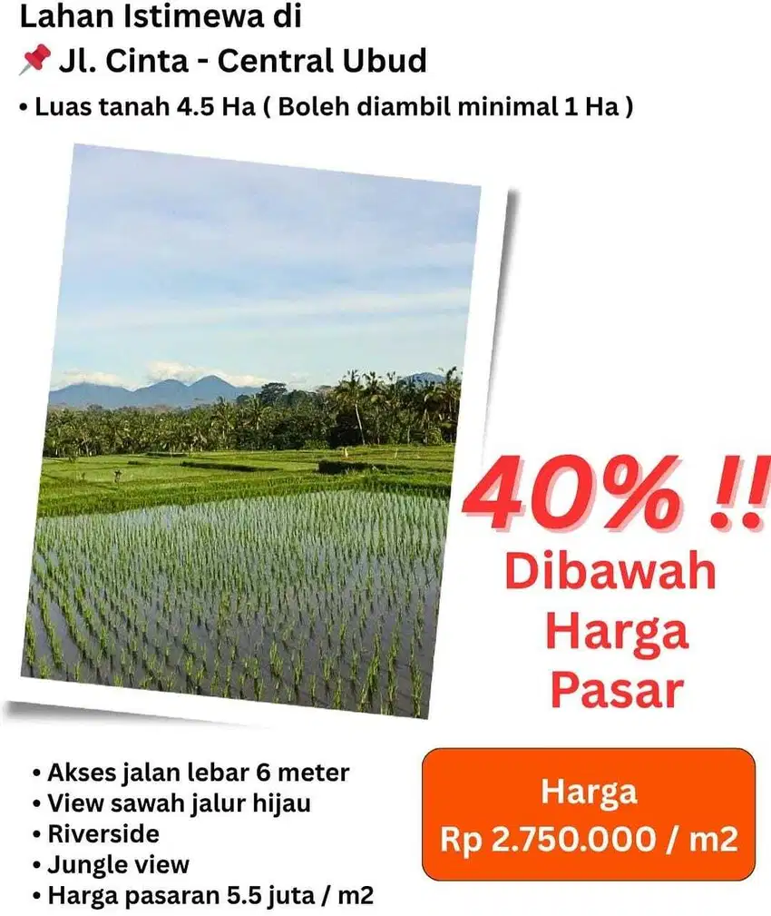 LAHAN DI KAWASAN PREMIUM CENTRAL UBUD, GIANYAR - BALI