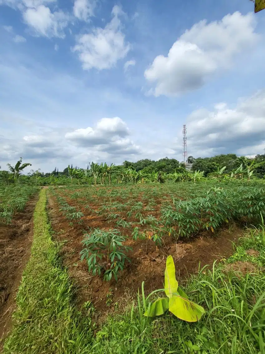 Dijual Lahan luas rancan Maya bogor