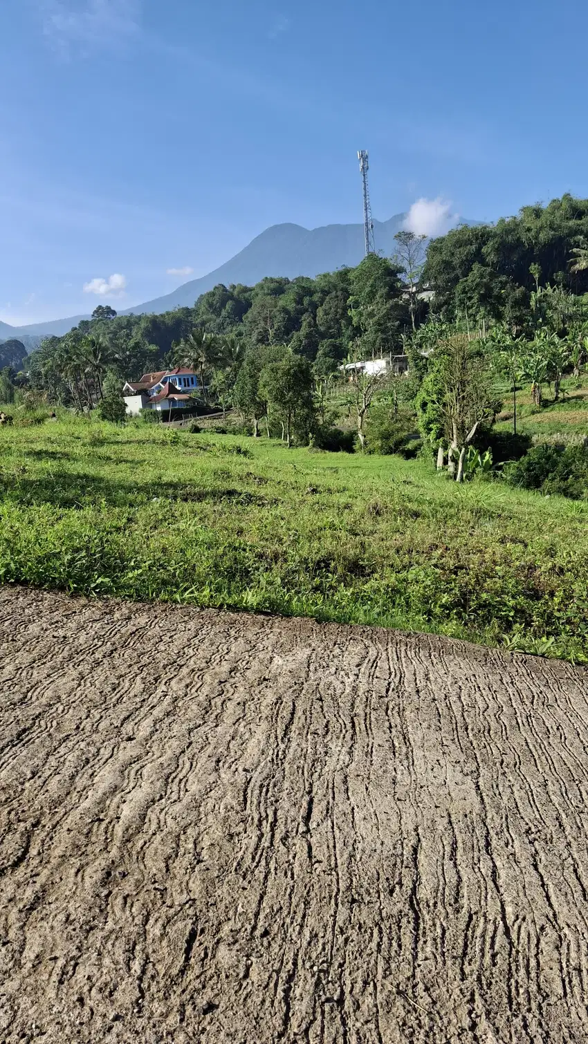 JUAL TANAH SHM CISARUA DEKET TAMAN SAFARI