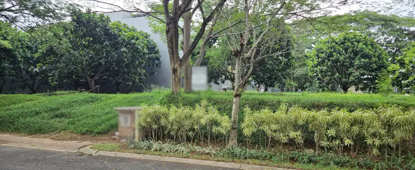 Royal Orchard cluster  penghijauan Kelapa Gading