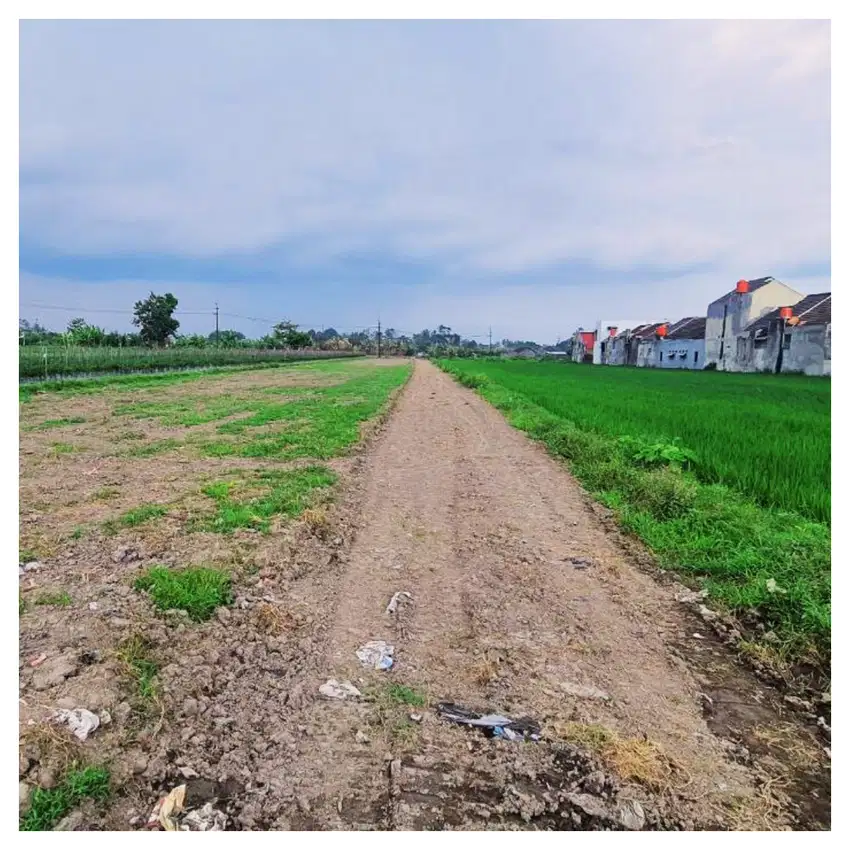 View Sawah, Dijual Tanah Di Jalan Godean Sidoarum
