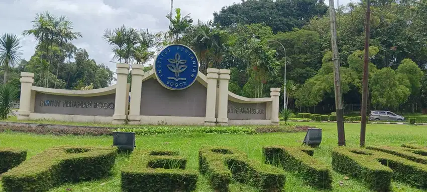Invest Untung, Dijual Tanah Murah Dekat Kampus IPB Free SHM