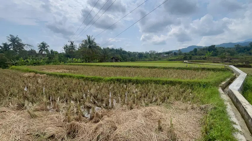 Dijual Murah Tanah 3220 m2 di Tanjungkerta SumedanG