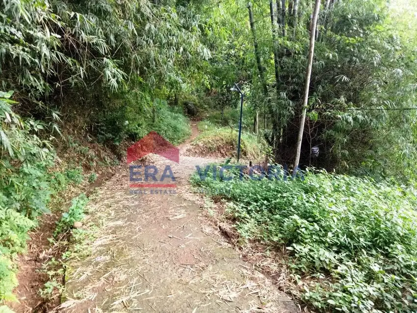 TANAH dijual di Selopanggung Kediri