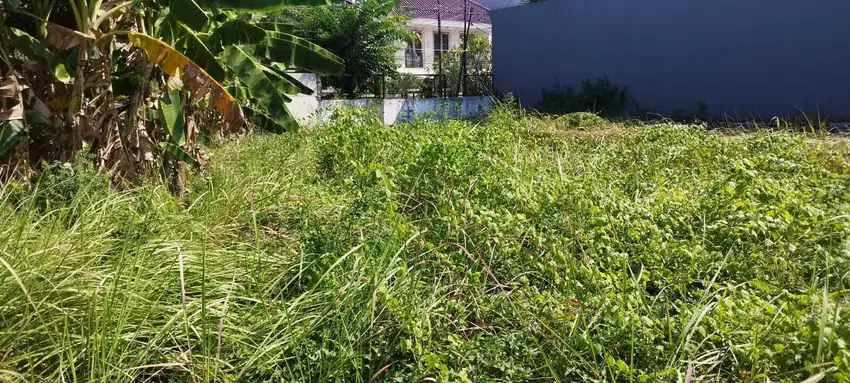 Tanah Raya Dharmahusada Indah Gubeng Surabaya Timur