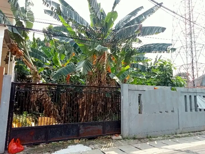 BU TANAH HOEK DEKAT SEKOLAH CIPAYUNG MUNJUL TOL CIBUBUR