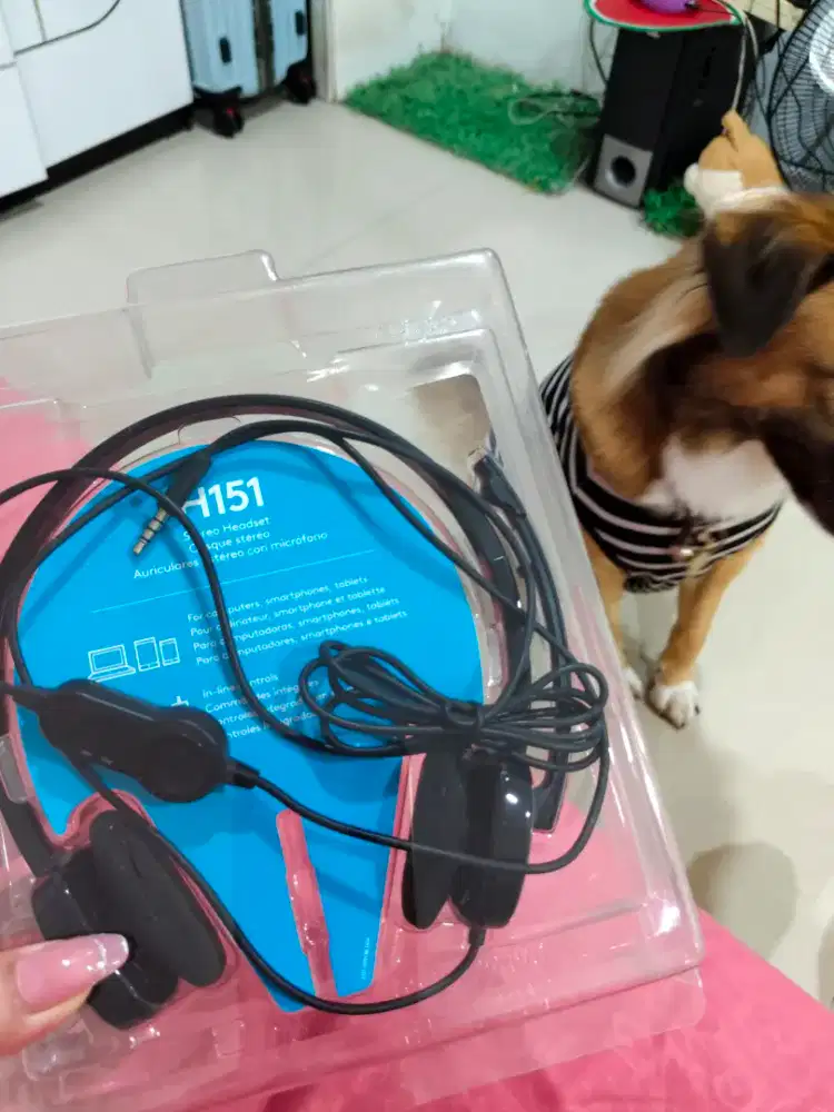 Headset Logitech H151