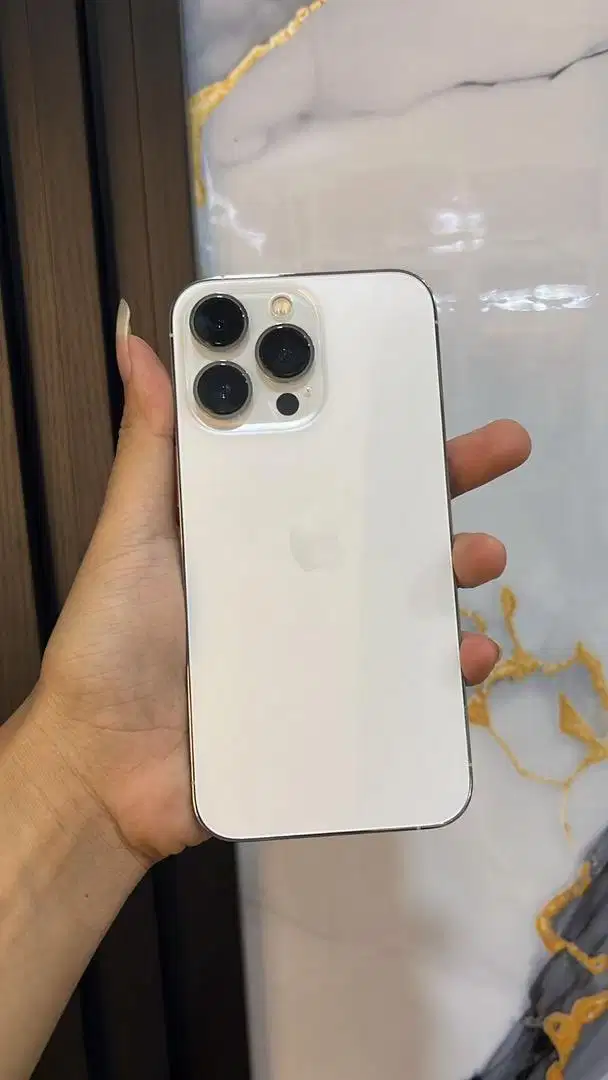 Iphone 13 pro 256gb beacukai