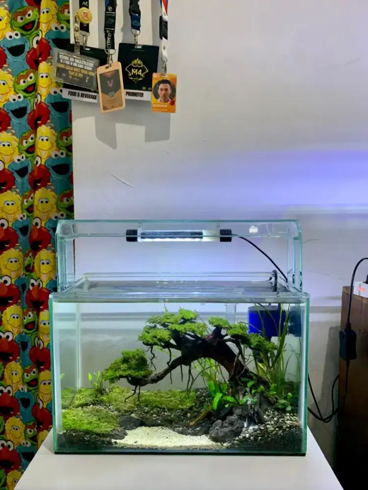 Aquarium AQUASCAPE Tema Bonsai SOLO Doyong