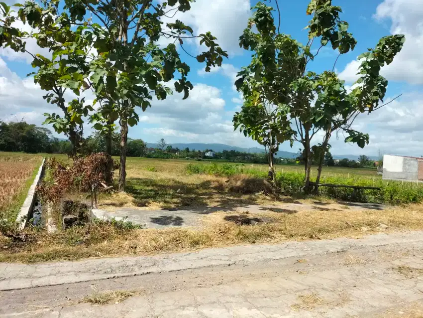 Tanah dekat kampus ISI dijual