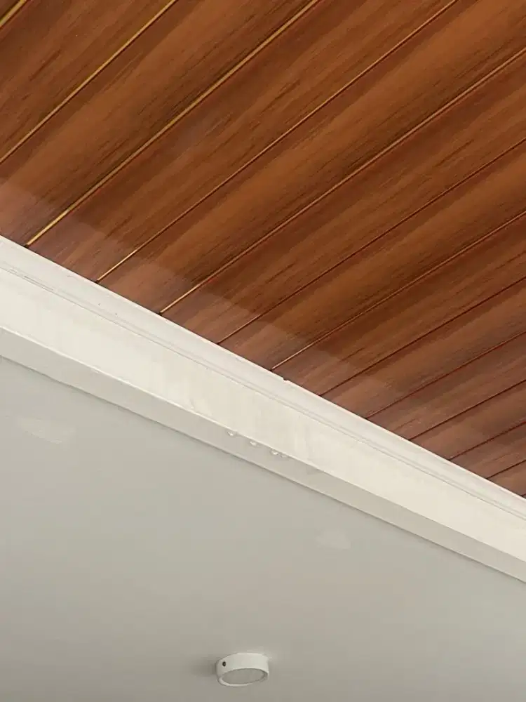 Canopy alderon+plafon PVC 99