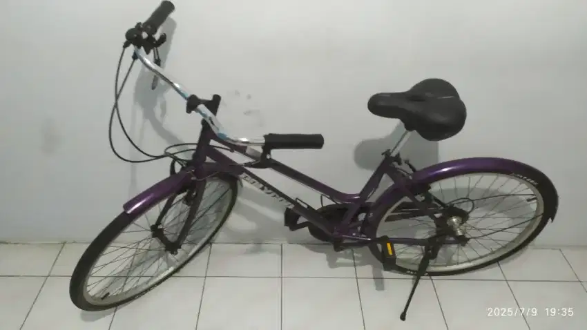 Sepeda jadul Polygon