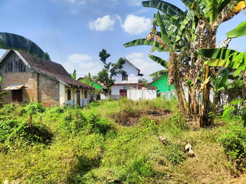 TANAH MURAH KOTA MADIUN PATIHAN COCOK UNTUK HUNIAN/INVESTASI