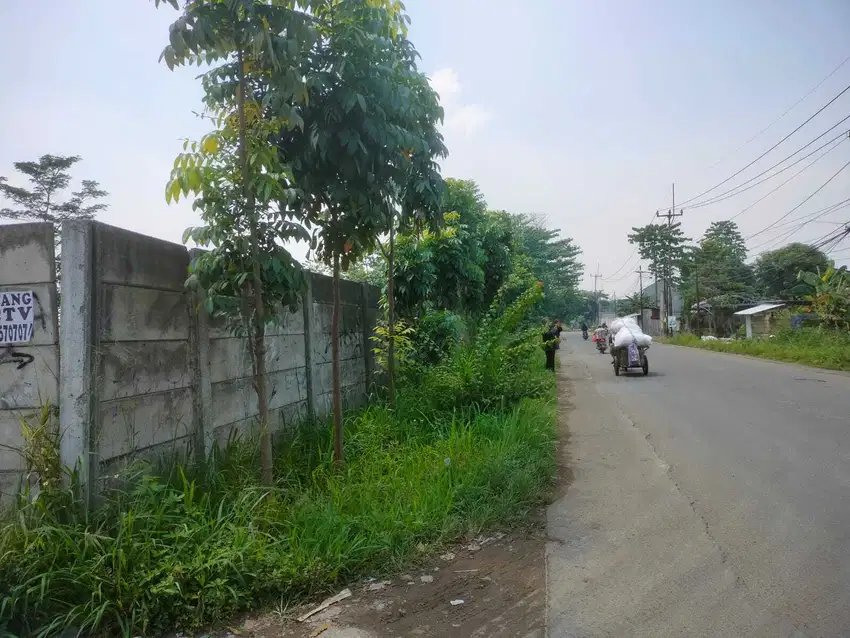 Kavling 6000 m2, SHM, Jl. Bojong Nangka, Gunung Putri.