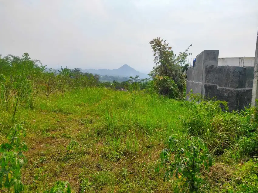 Tanah Sumbersekar Dekat Pondok Ar Rohmah Putra