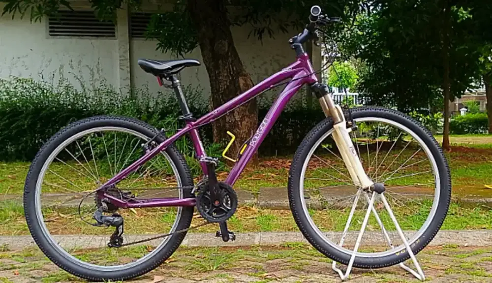 Sepeda polygon Cleo 1.0