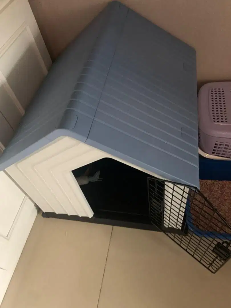 Kandang Anjing Kucing Kelinci Merk Ace Hardware Azko