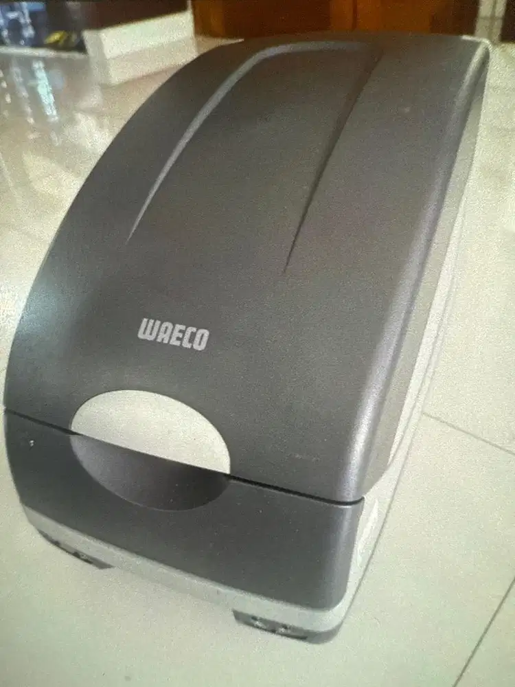 Car thermoelectric cooler