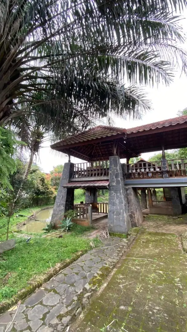 DIJUAL TANAH SHM LUAS 3200 m²