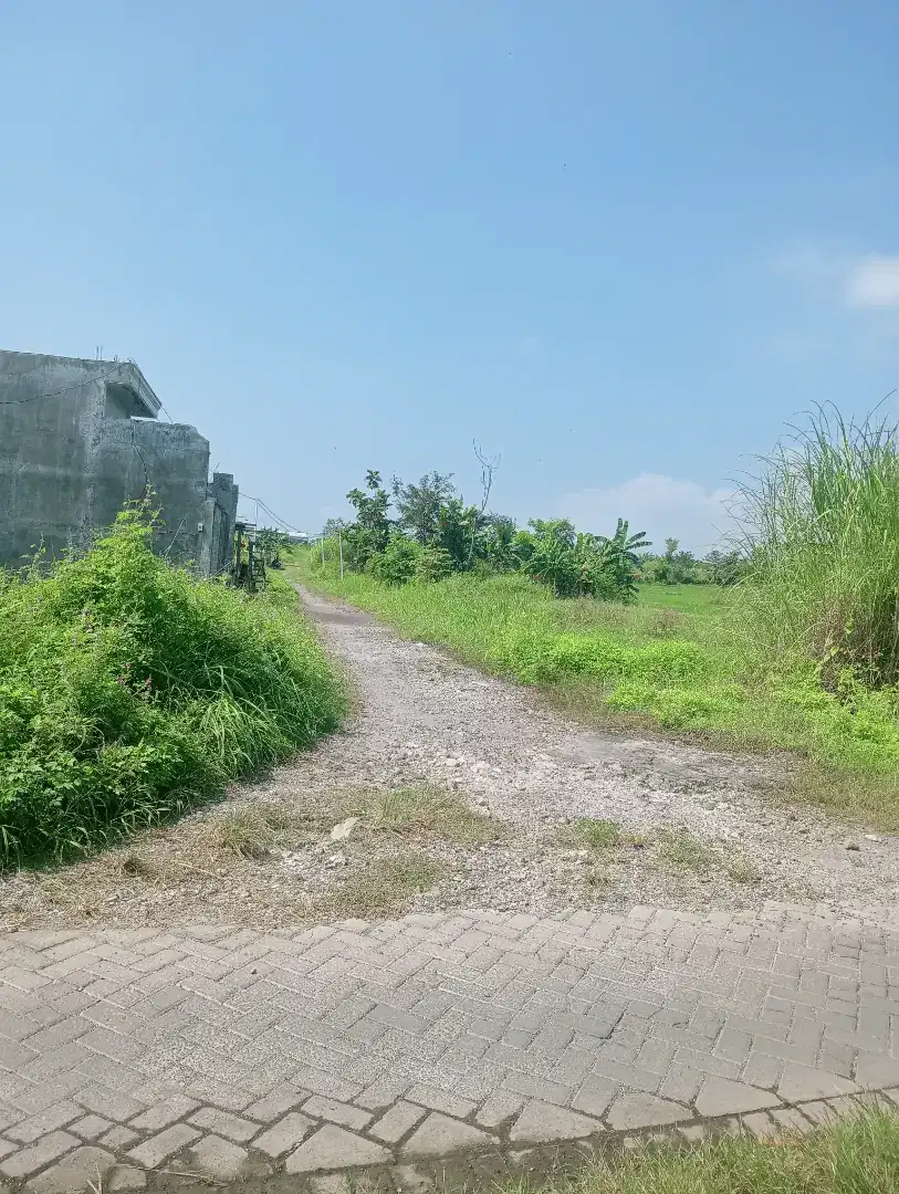 Sawah aktif padat penduduk lokasi strategis