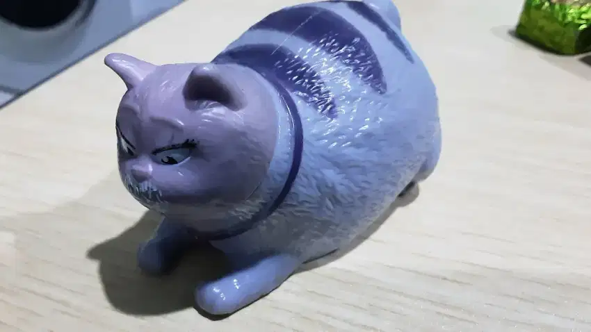 ( FREE ADOBT ) Kucing Domestik - Chloe