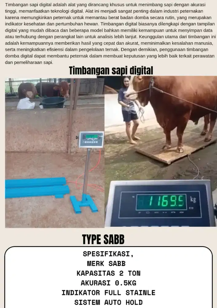 Timbangan sapi digital merk sabb gb3
