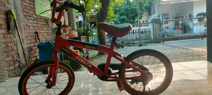 Sepeda anak laki-laki
