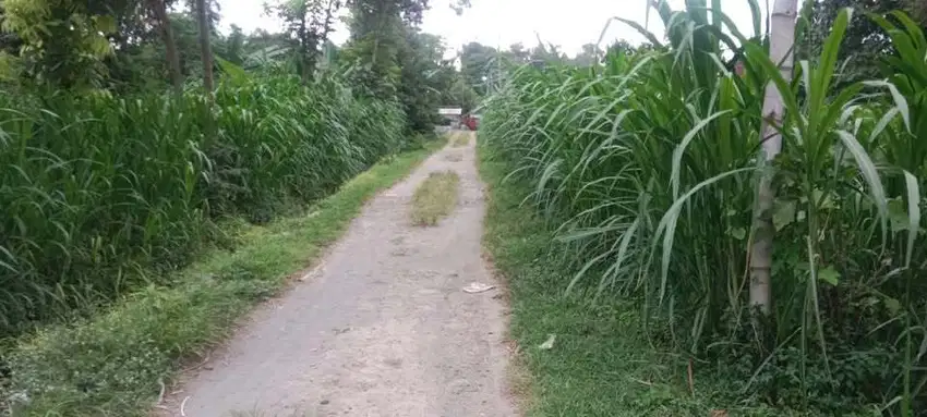Jual tanah Jl h dahlan rejosari darungan pare mulyanto sekoto kediri