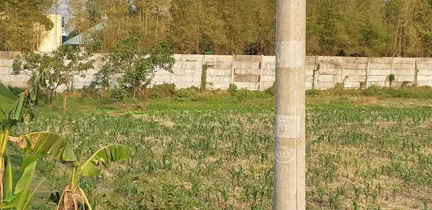 LAHAN BYPASS 1565 MOJOKERTO