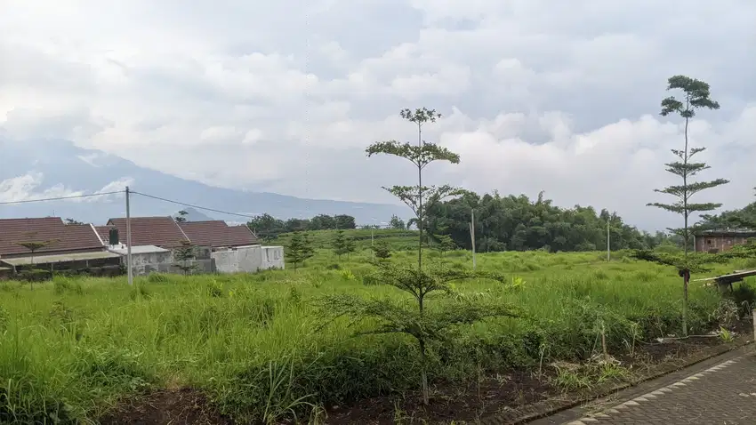 Tanah Kapling Dau Malang Sebelah Kampus UIN 3 Malang, Kost Cocok