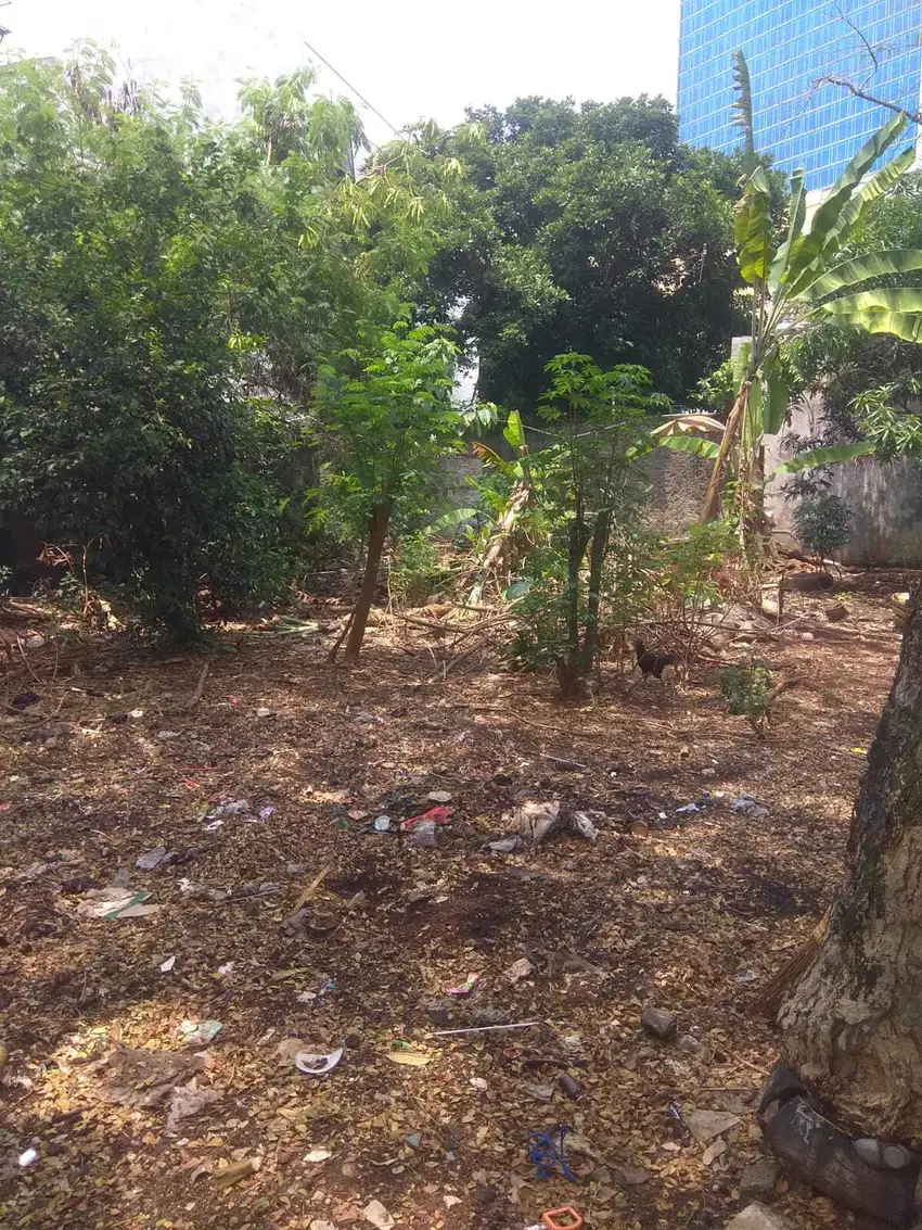 Tanah Kavling DDN Jl Alternatif Cibubur