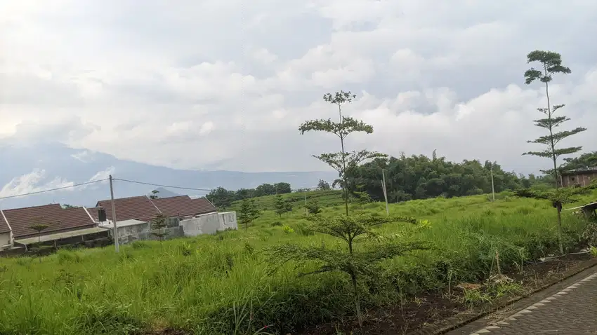 Tanah Dau Cocok Bangun Rukost Malang