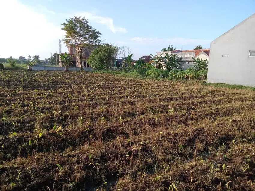 Tanah Kavling Murah 2juta-an, area Dramaga Bogor dekat Kampus IPB