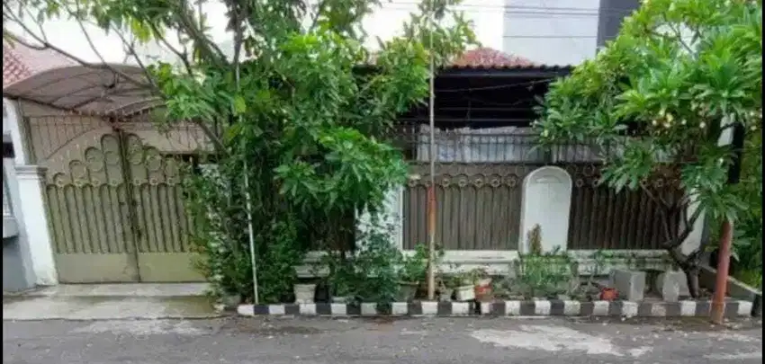 Dijual Rumah 1 Lantai Manyar Kertoarjo Nego sampai Deal Surabaya Timur