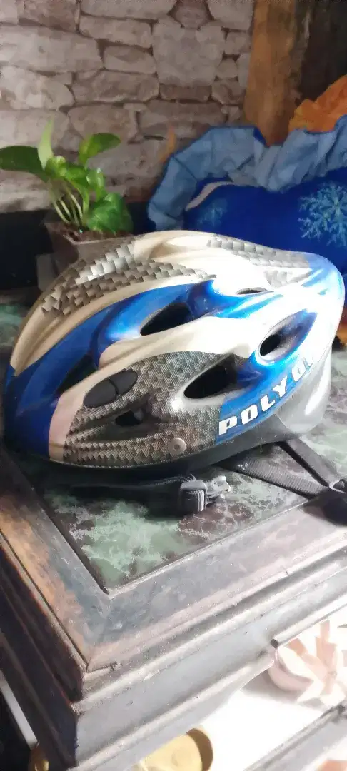 Helm Polygon mulus