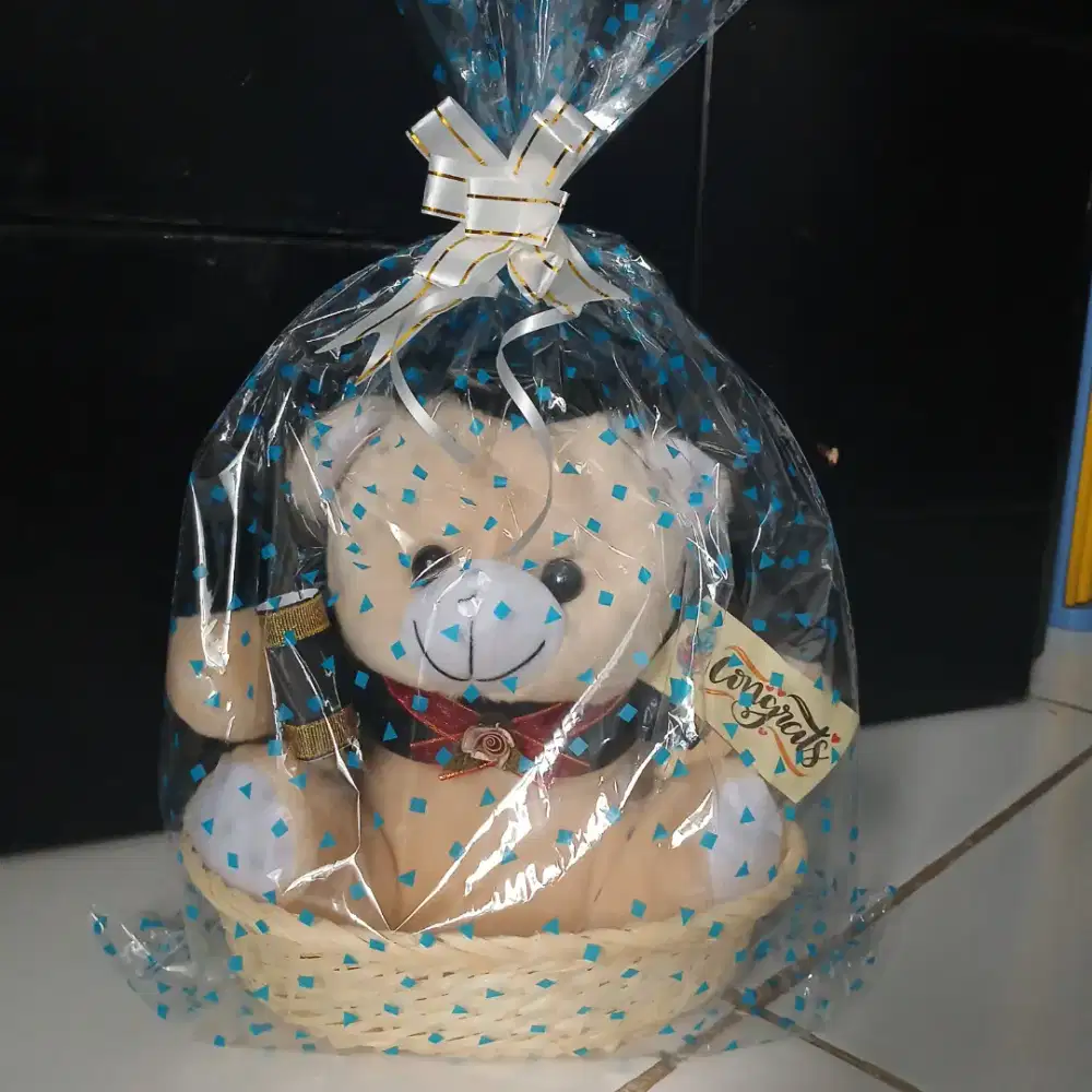 Boneka wisuda teddy bear