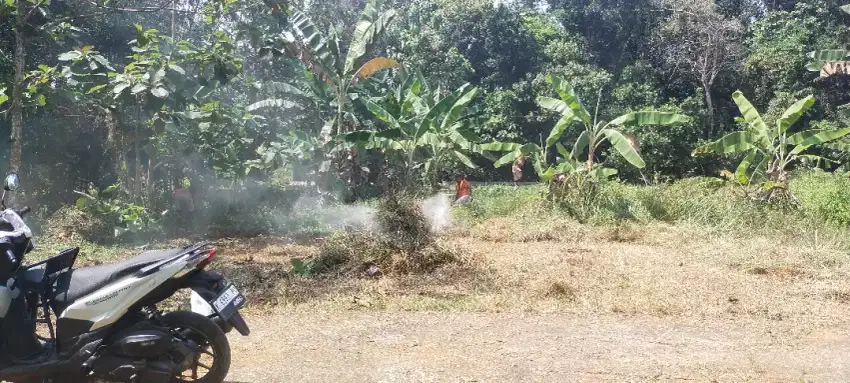 Tanah pulodarat pecangaan