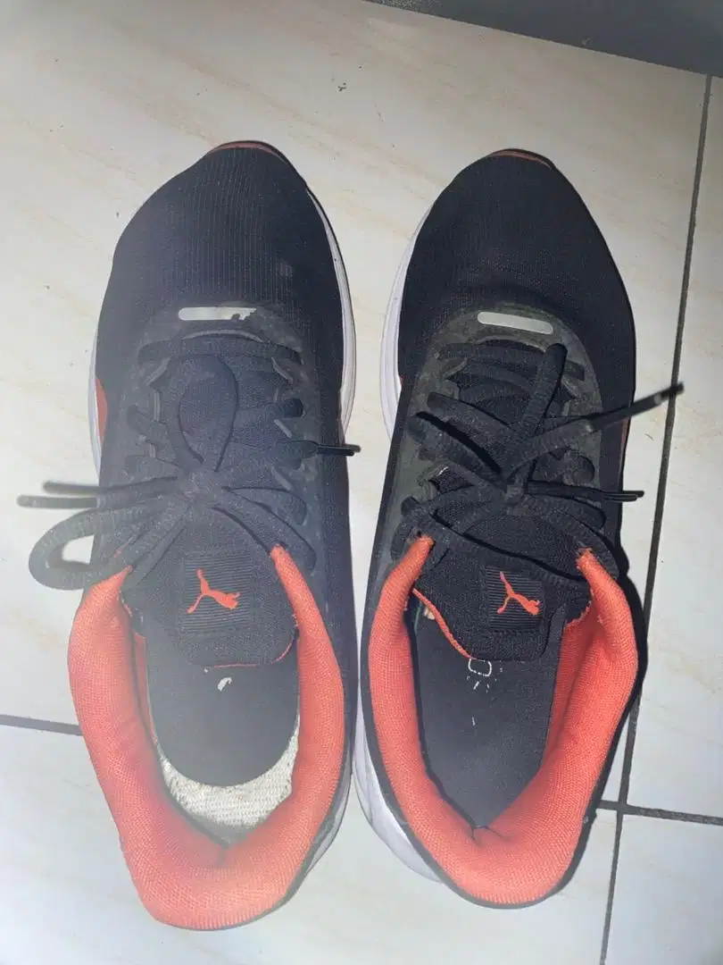 Sepatu puma original