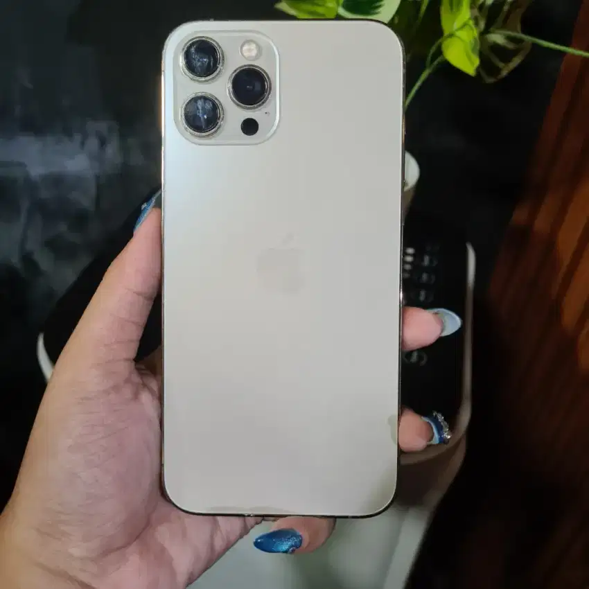 Iphone 12 Promax 256gb Bh 81 Fullset Beacukai