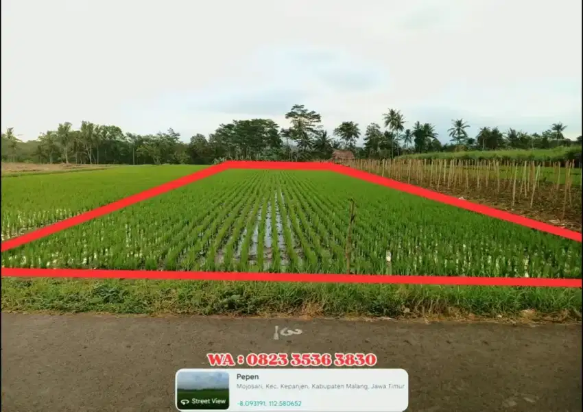 Sawah Murah Kepanjen Malang Pinggir Jalan