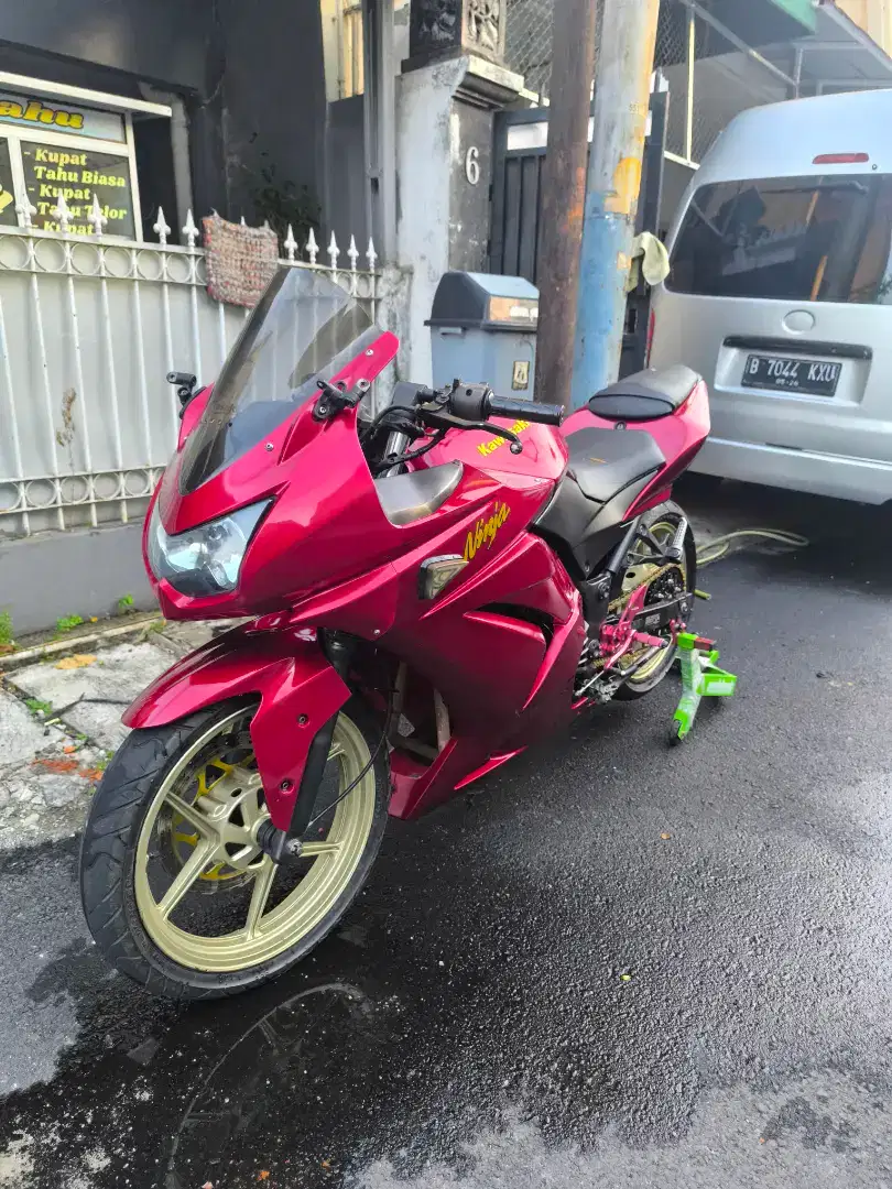 Kawasaki ninja 250 karbu