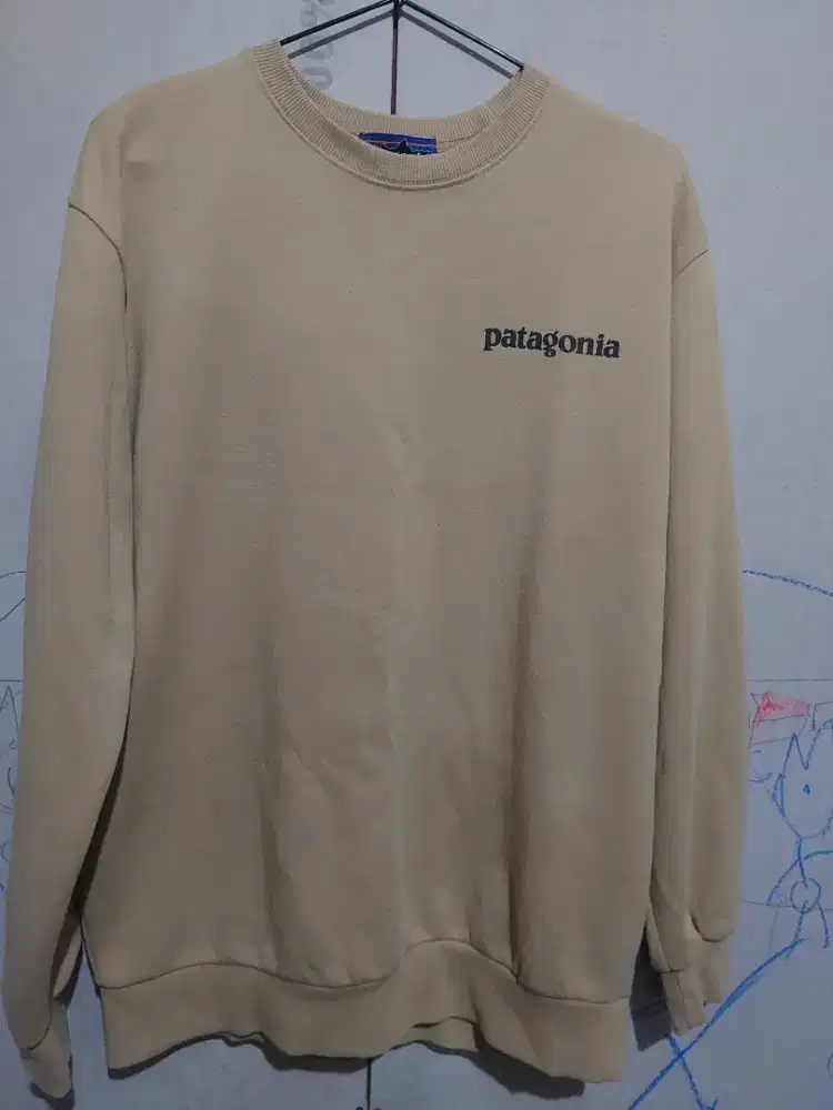 Cn/crewneck patagonia