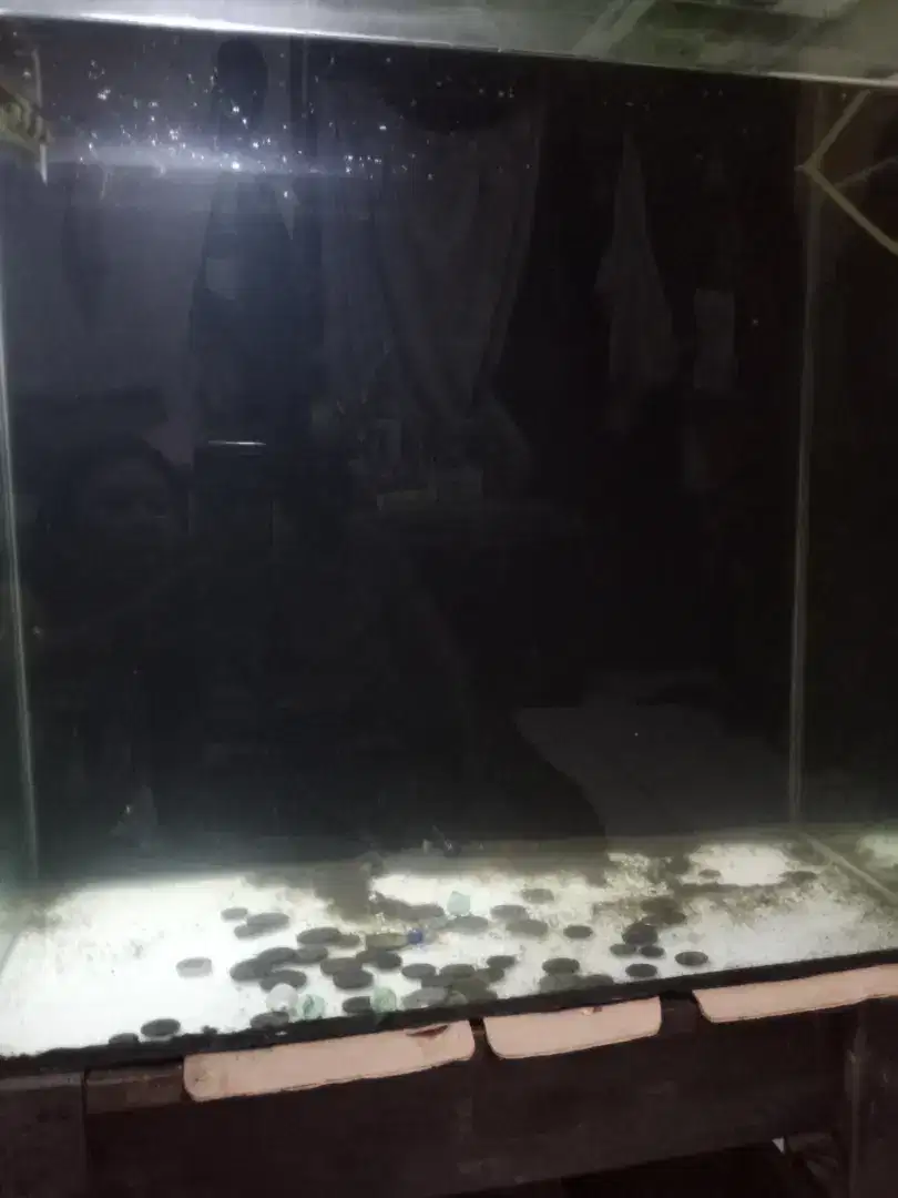 Di jual Aquarium murah