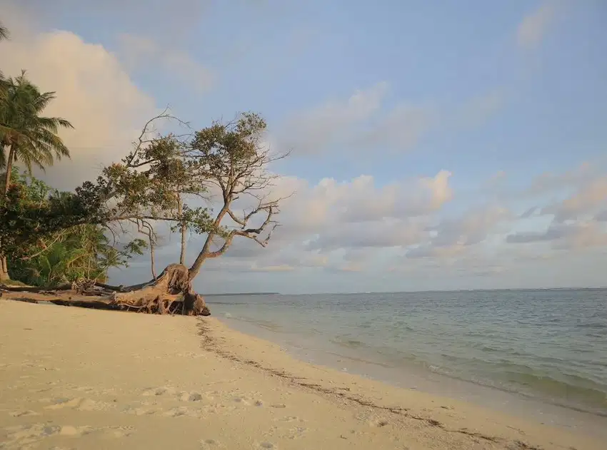 Dijual Murah tanah Di Tanjung Setia, Krui