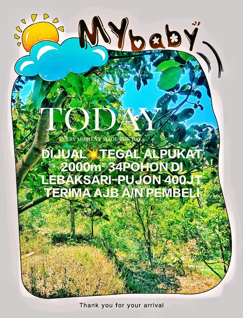 MURAH TEGAL ALPUKAT 2000m² PUJON