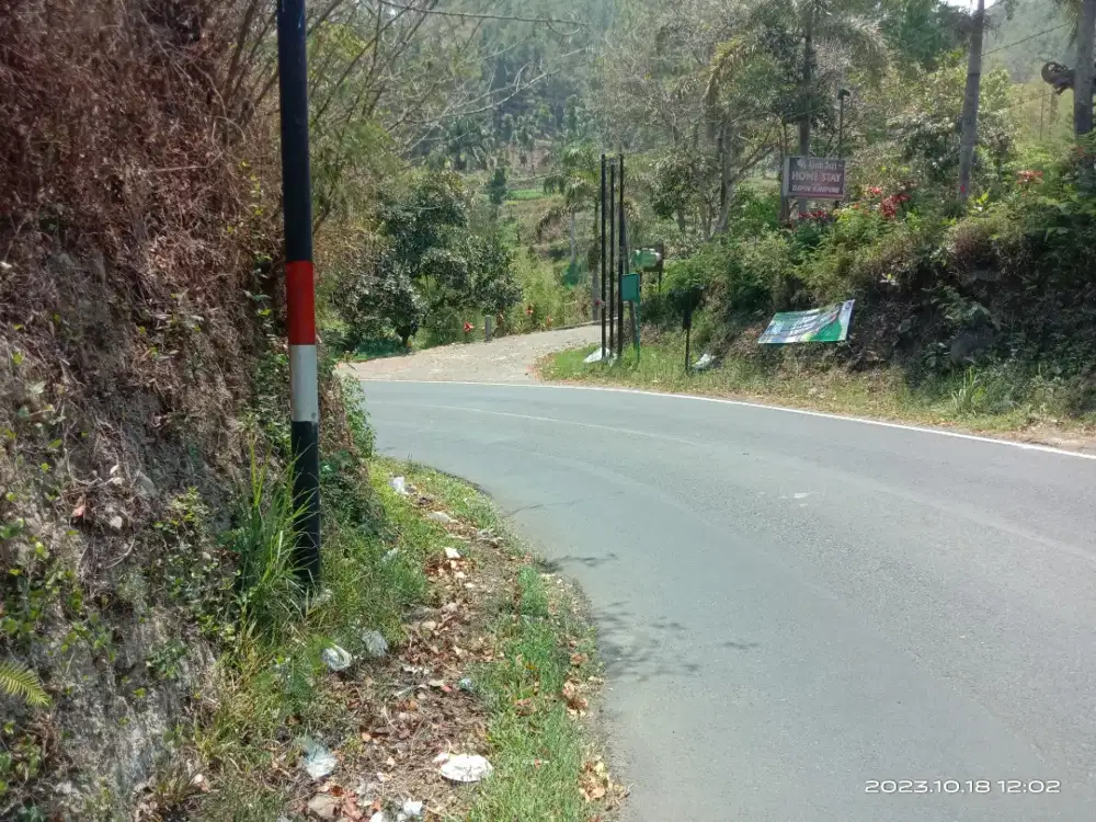 MURAH TEGAL ALPUKAT 2000m² PUJON