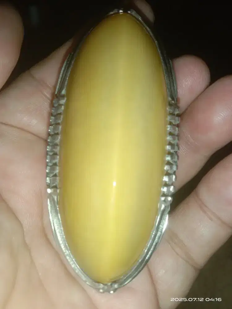 Batu Akik Pandan Nanas Jumbo