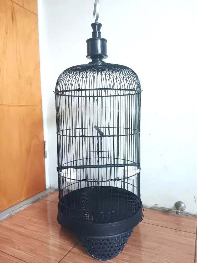 Sangkar Baru Besi Bulat Lovebird